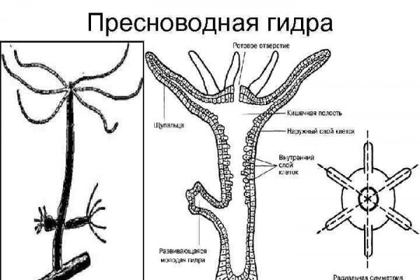 Ссылка на кракен тор kr2web in